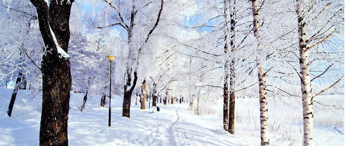 雪景背景