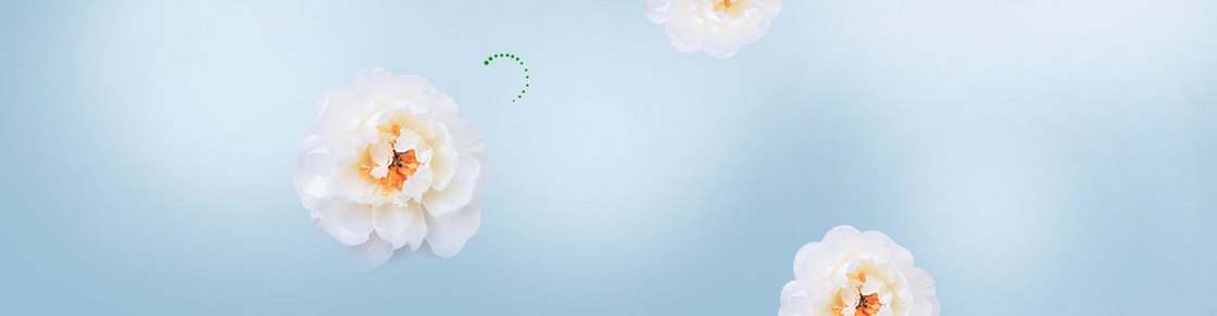 淘宝护肤品清新杏花背景banner