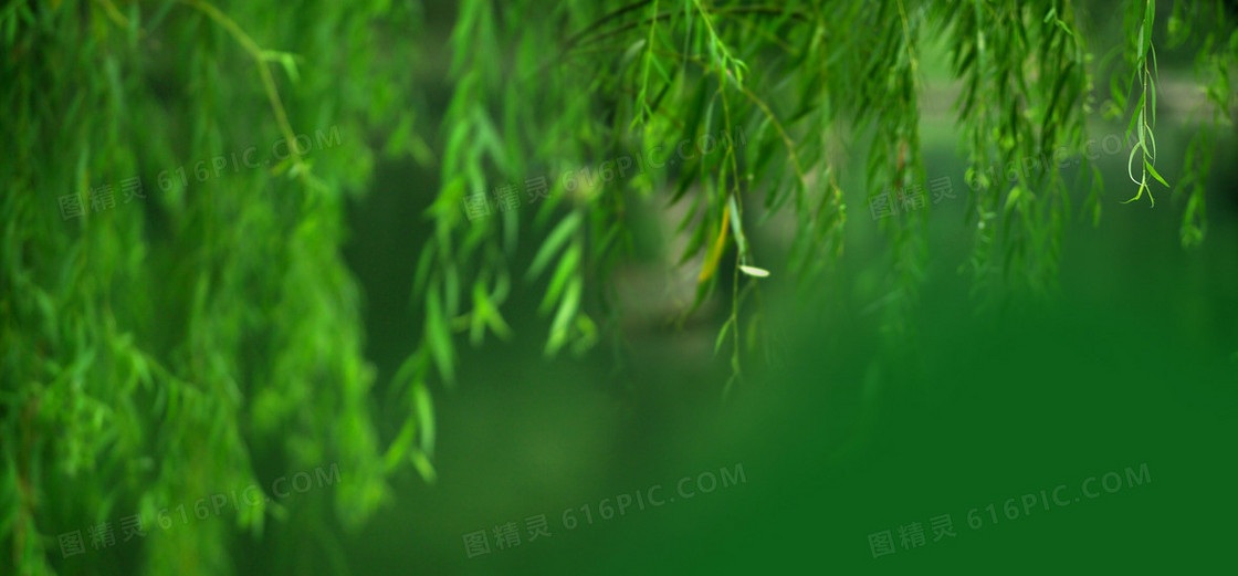 虚化背景