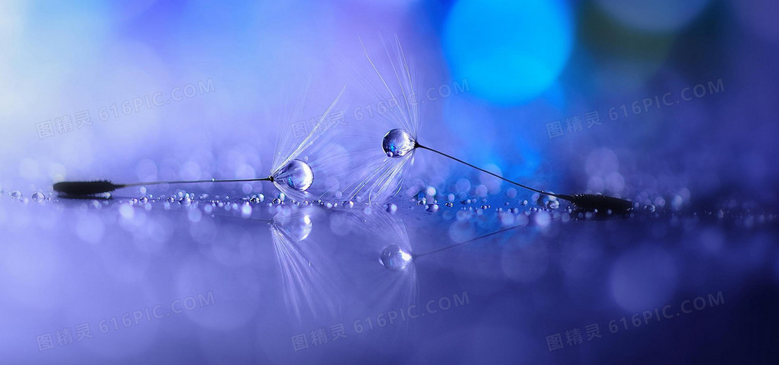 淘宝背景