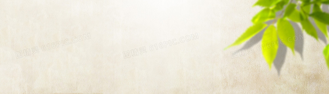 绿叶背景banner