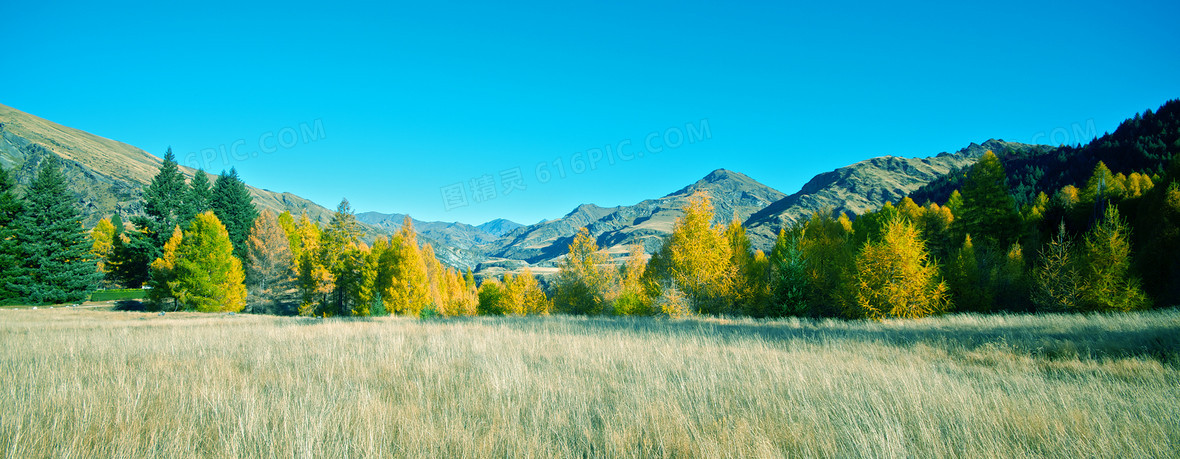 草原背景banner壁纸