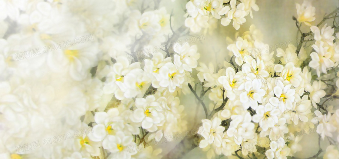 淘宝女装清新简约背景banner