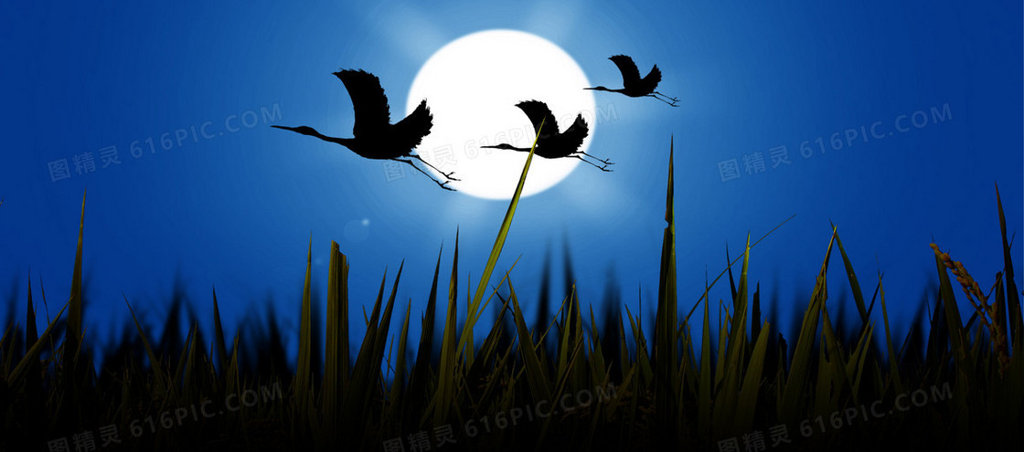 夜景  大雁  月光