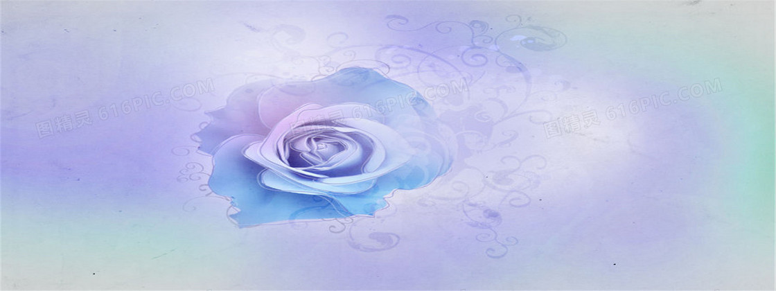 唯品会banner