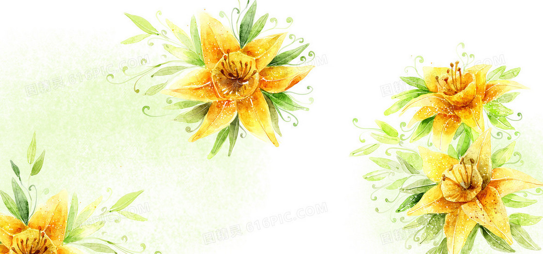 黄色花朵插画背景