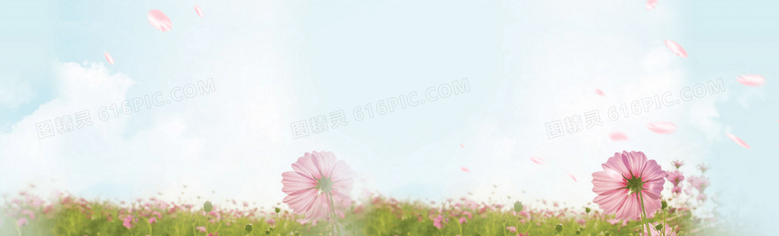 唯美小清新背景