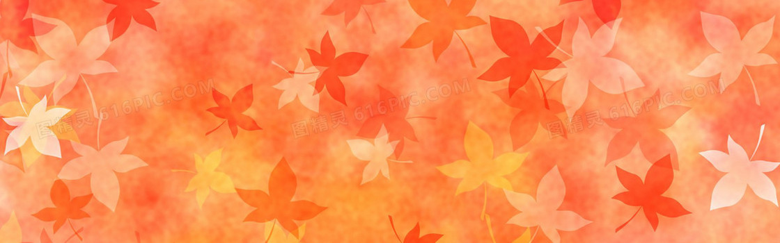 鲜花 浪漫 唯美 梦幻