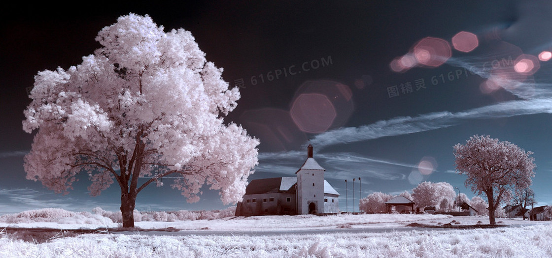 雪
