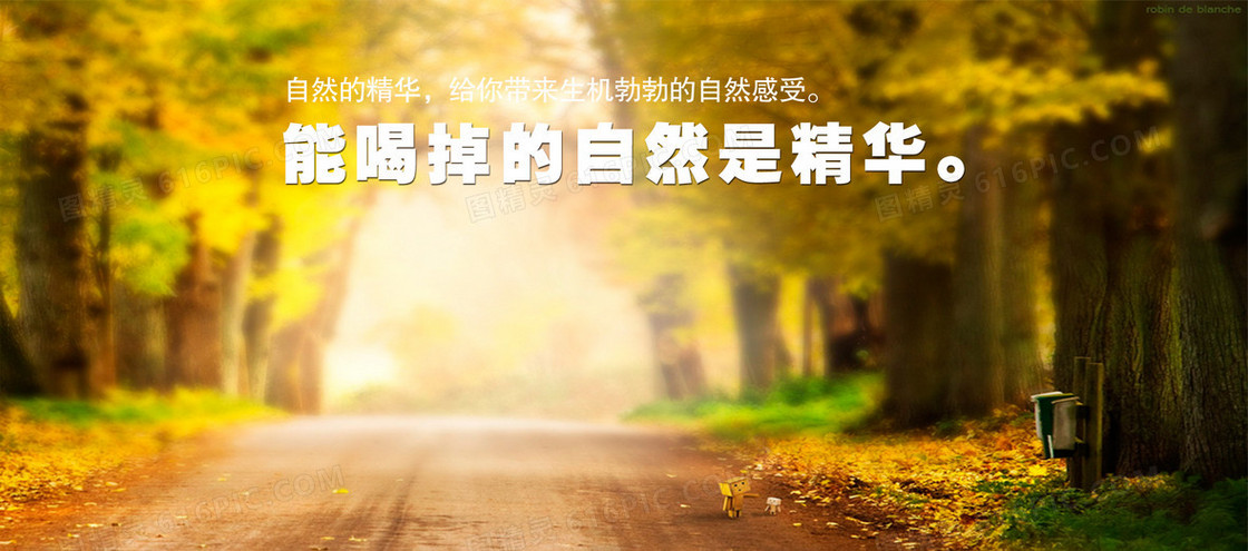 红叶 暖色 文字 简约 光 背景banner