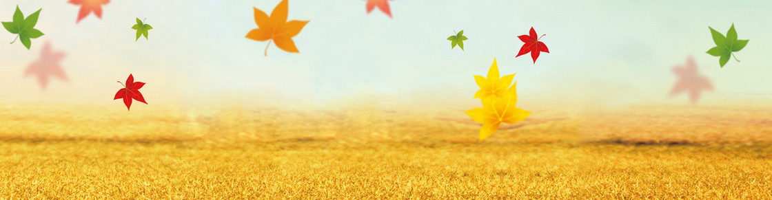 淘宝秋装banner