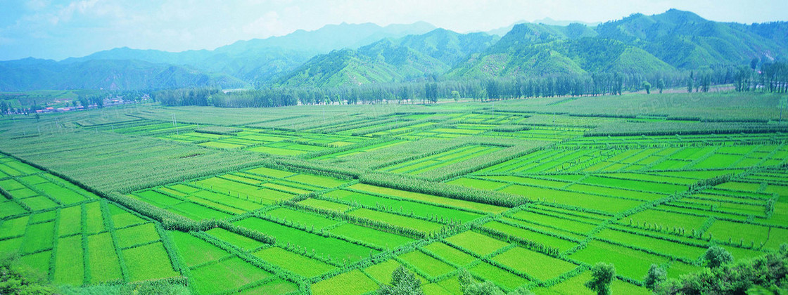 清新乡村田园摄影背景