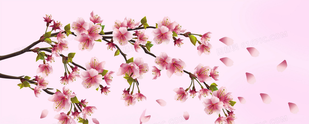 桃花简约背景背景图片下载_1920x769像素jpg格式_编号1kjfejmev_图