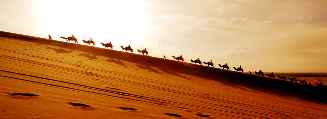 烈日下的沙漠驼队背景