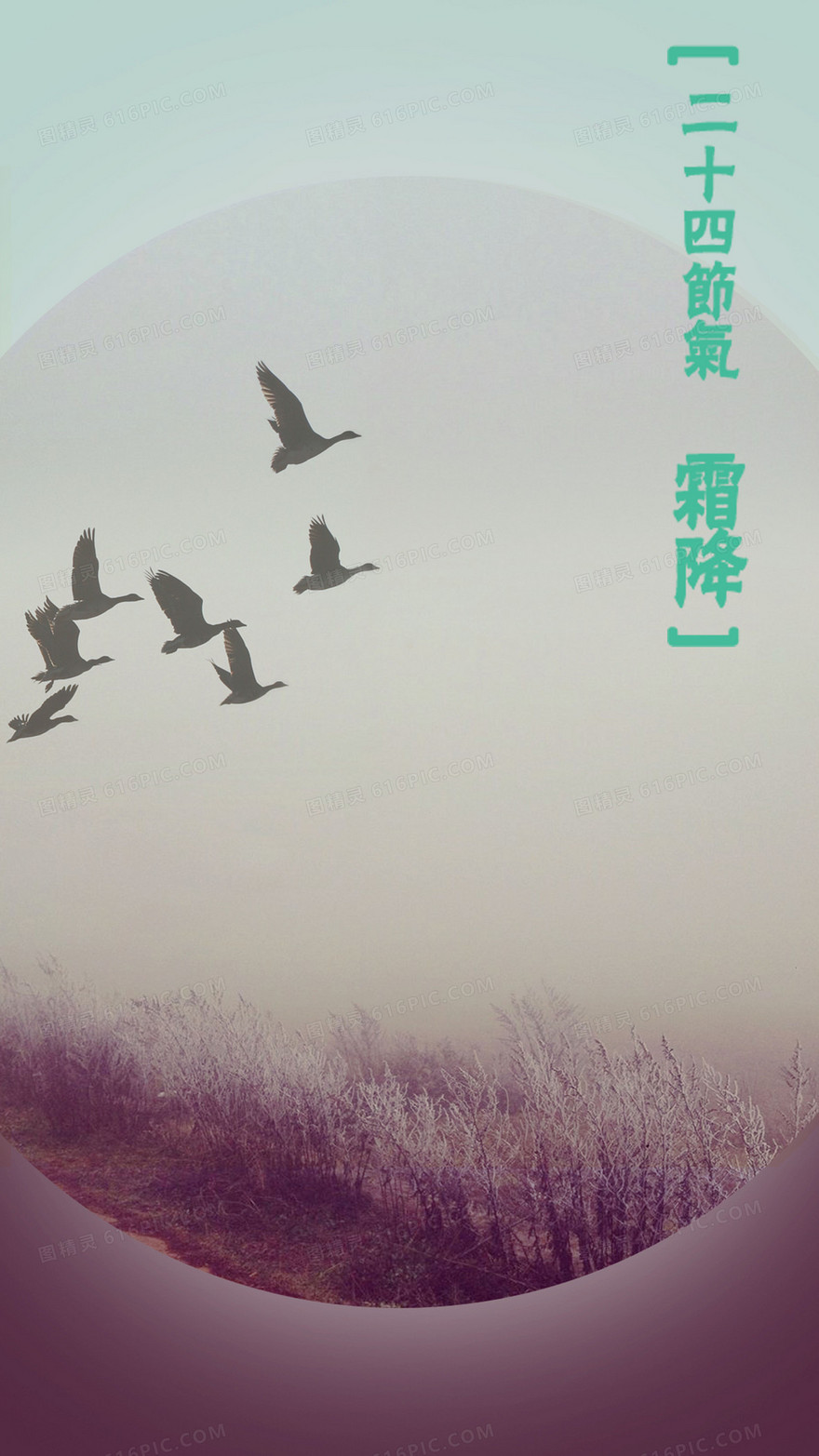二十四节气霜降背景图