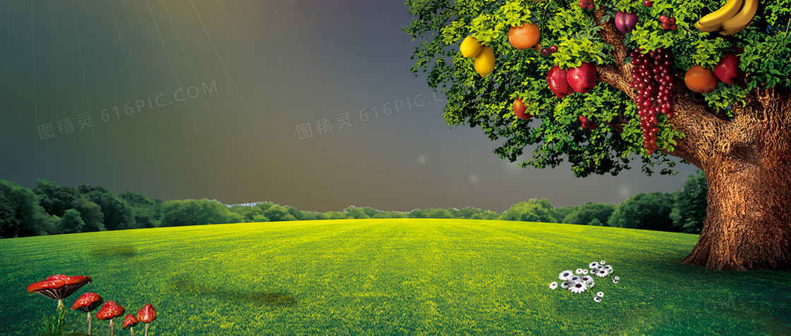 草地banner背景