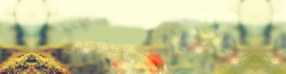 梦幻 绿色 背景 banner
