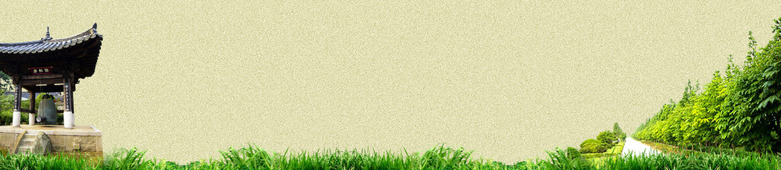 教育网站背景banner