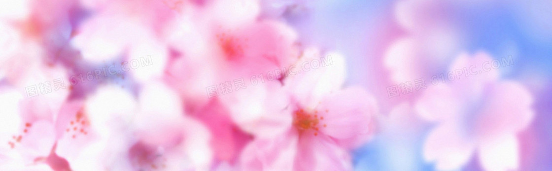 唯美花瓣淘宝女装banner背景