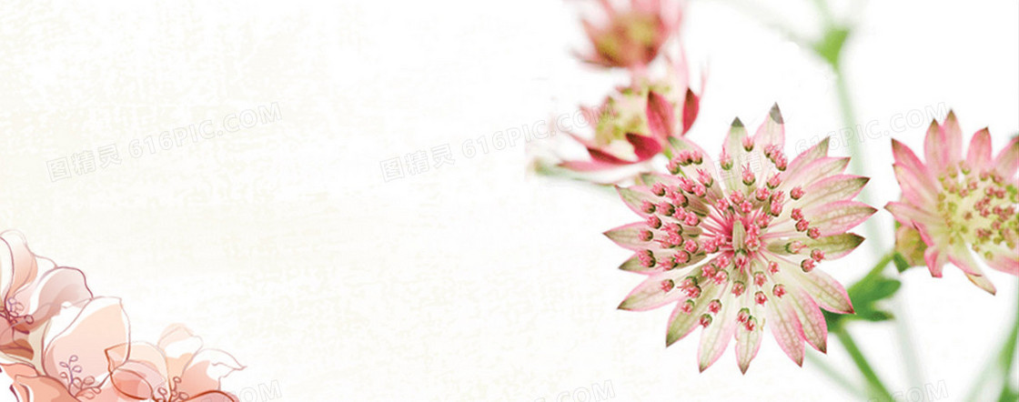 化妆品banner