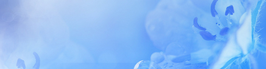 女装背景banner