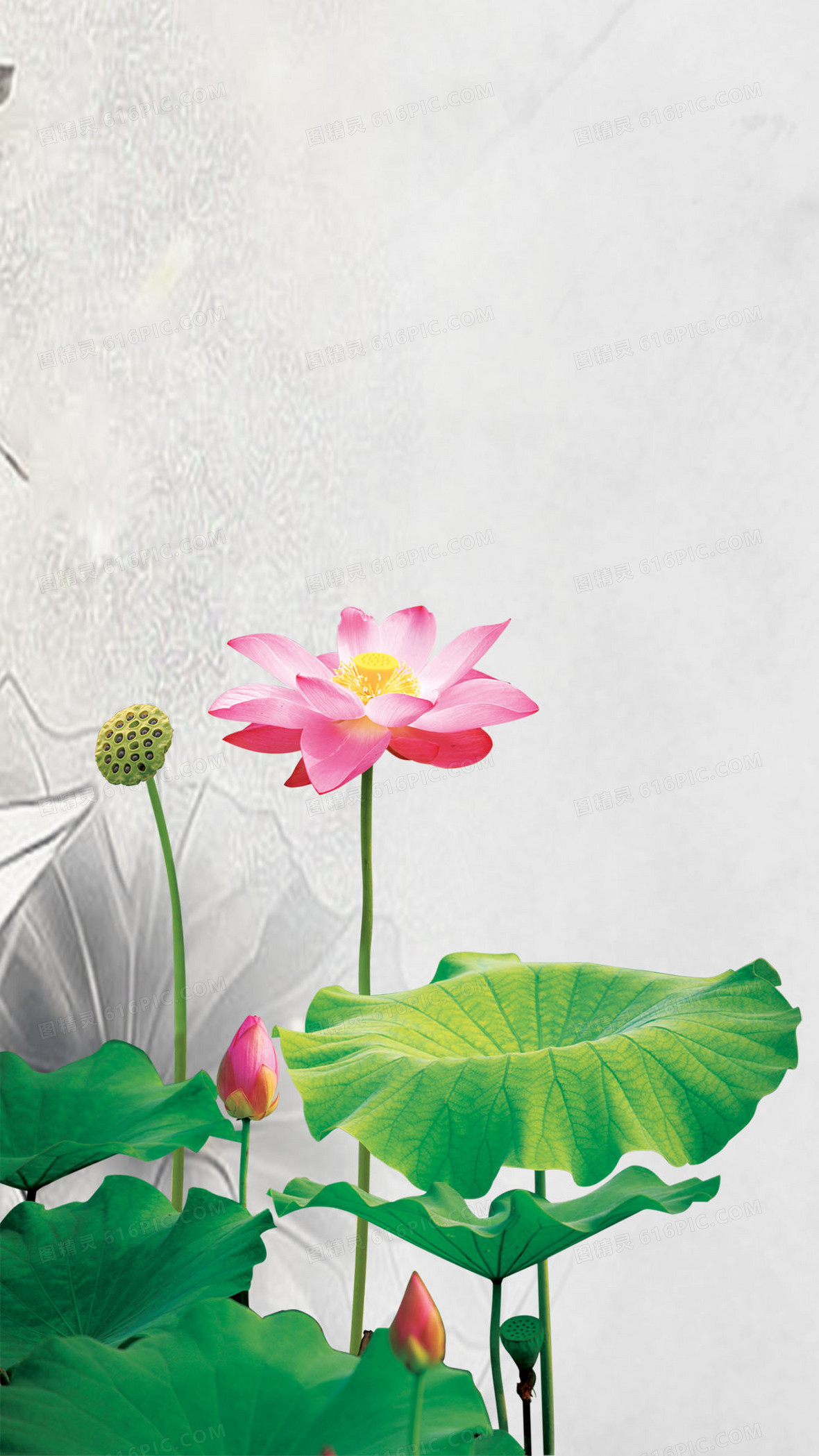 画古典风设计中国风图精灵为您提供水墨荷花免费下载,本背景图片为