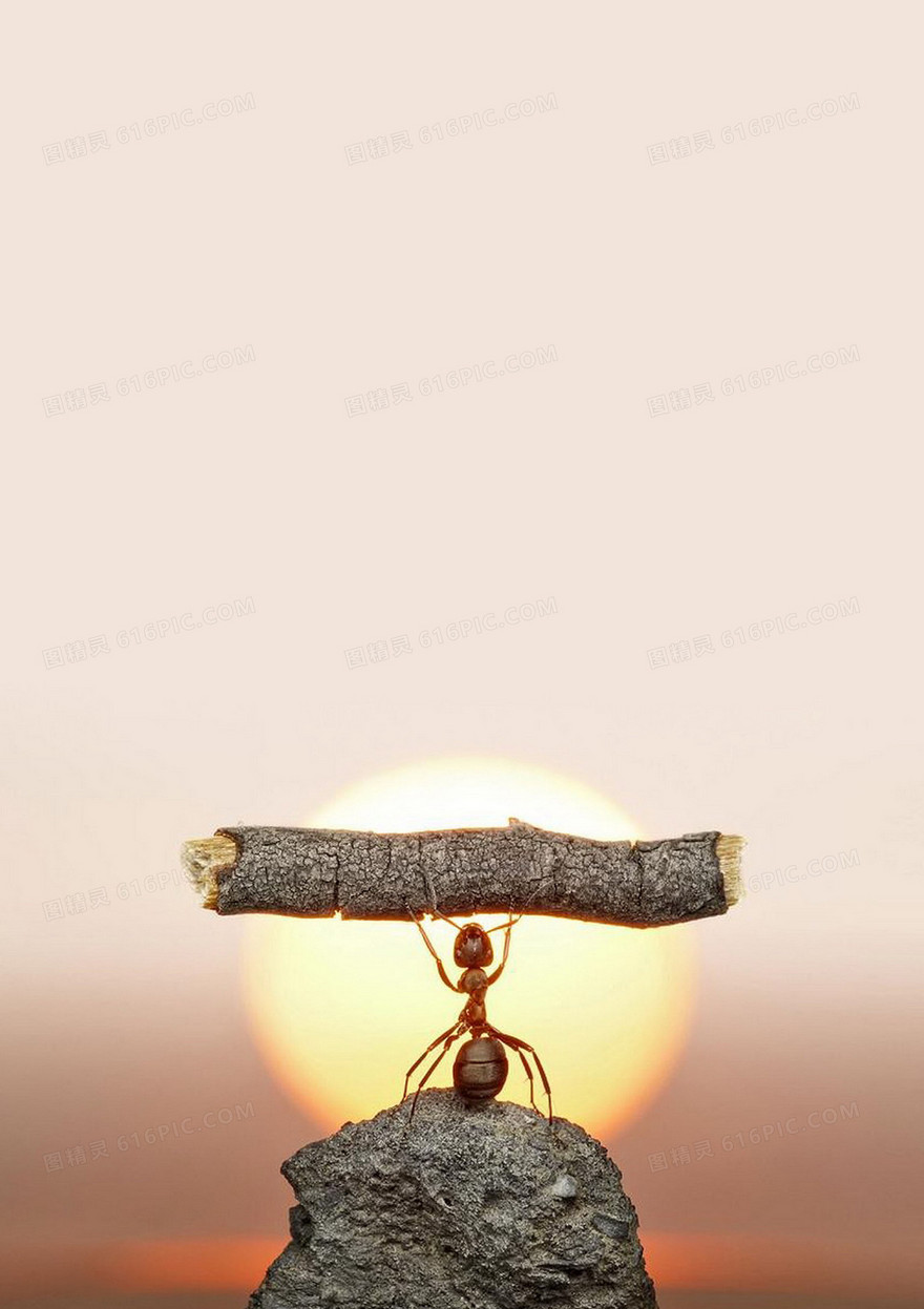 小蚂蚁大力量背景素材