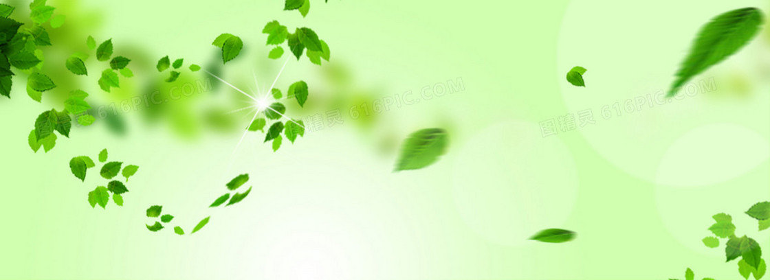 化妆品活动绿色清新海报背景