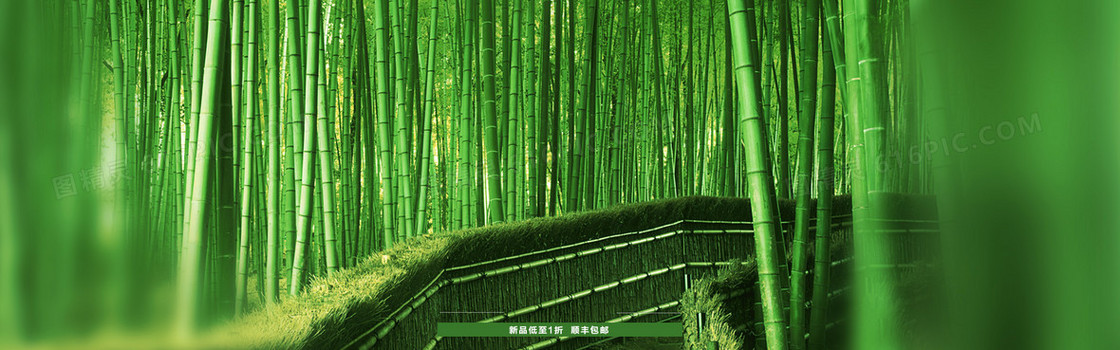 竹林背景
