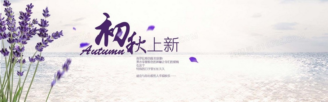 女装banner