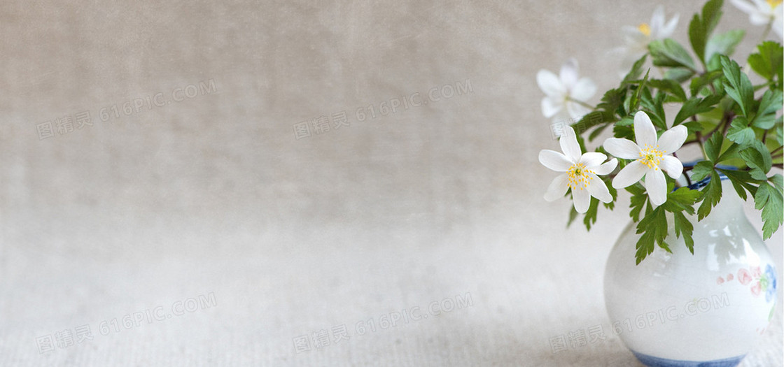 桌面上的小白花图片
