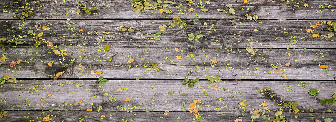 质感背景