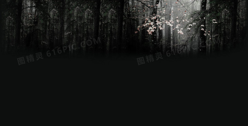 黑色树林背景