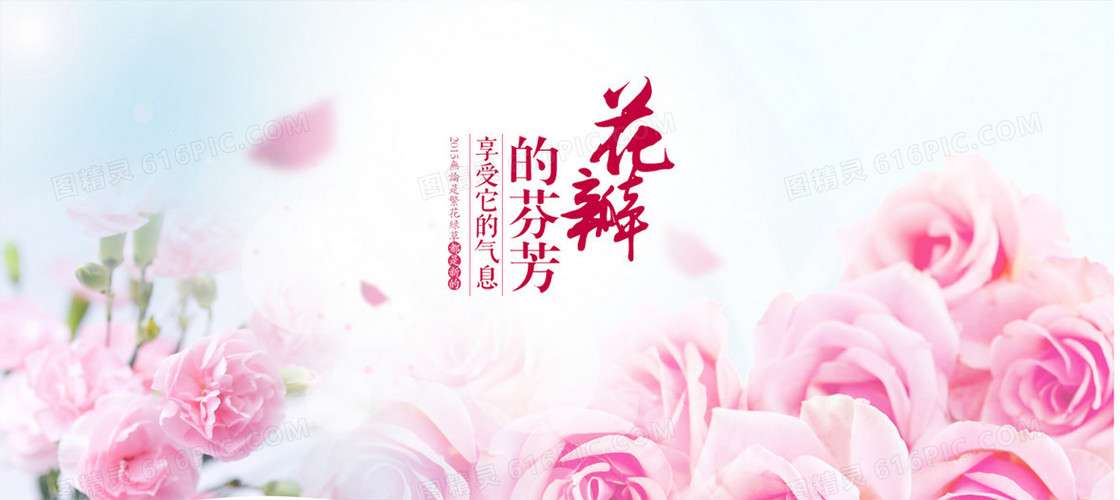 花瓣 气息 芬芳 花朵