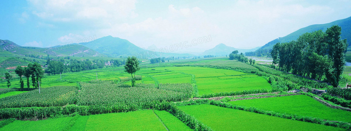 清新乡村田园摄影背景