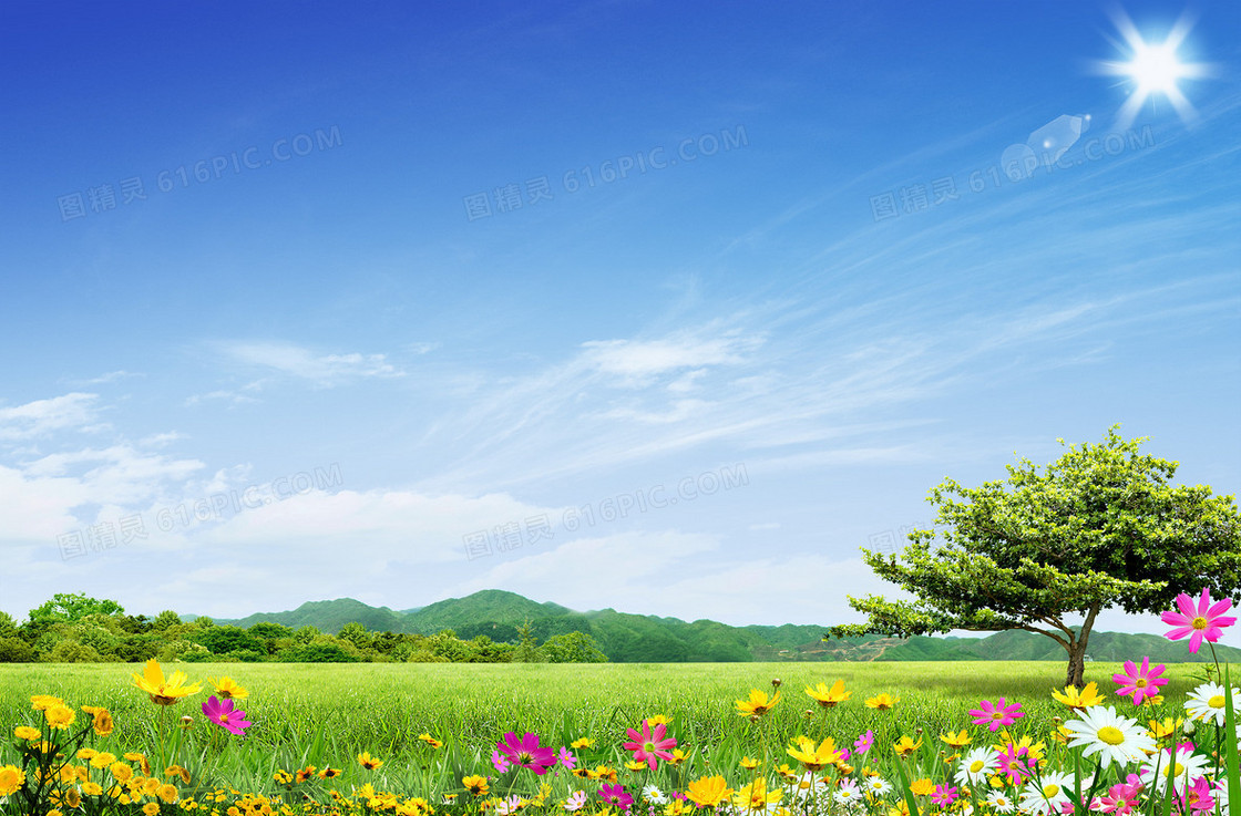 蓝色天空绿草地背景