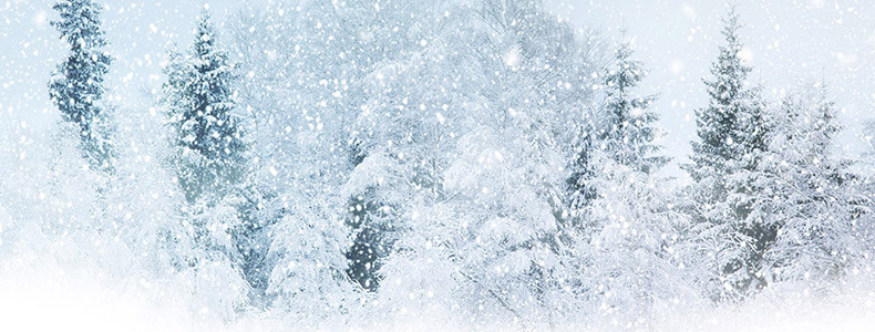 唯美梦幻雪景