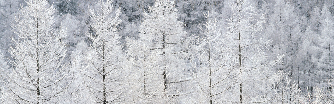 雪景背景图