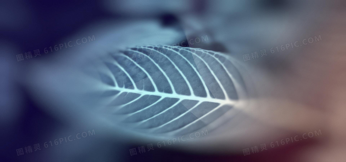 淘宝背景图