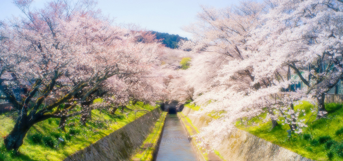 唯美浪漫街拍风景海报背景
