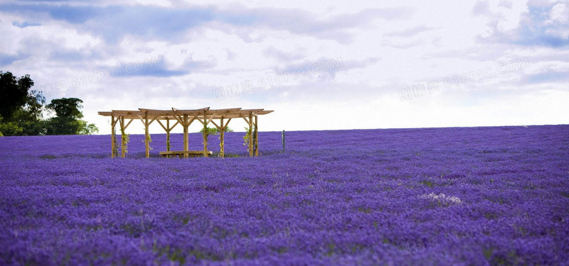 风景
