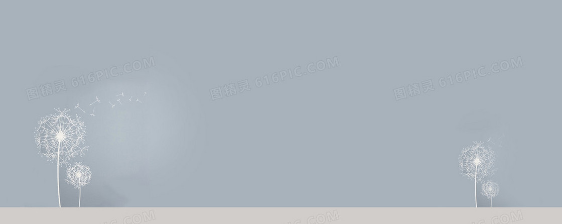 蒲公英42