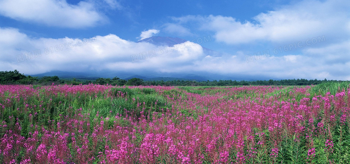 淘宝背景图
