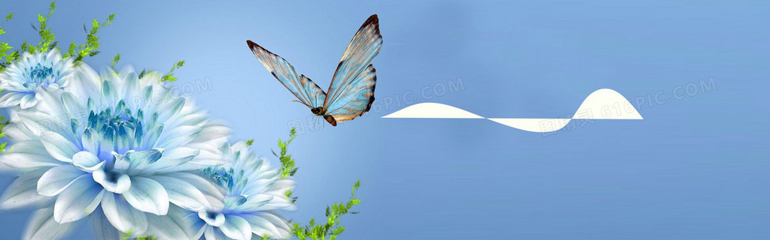 夏花唯美背景banner　