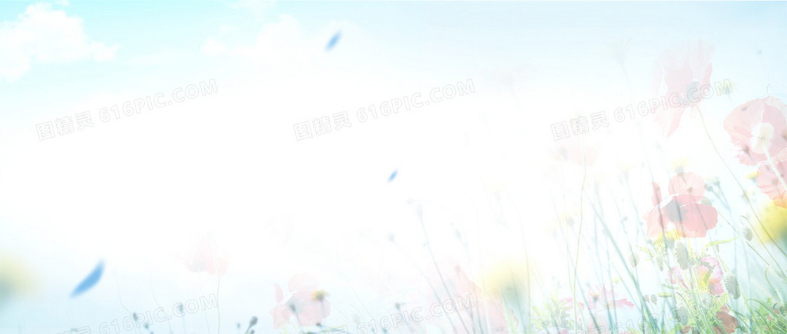 淘宝女装背景