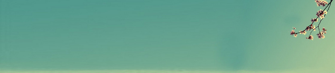 清淡桃花枝头唯美背景banner