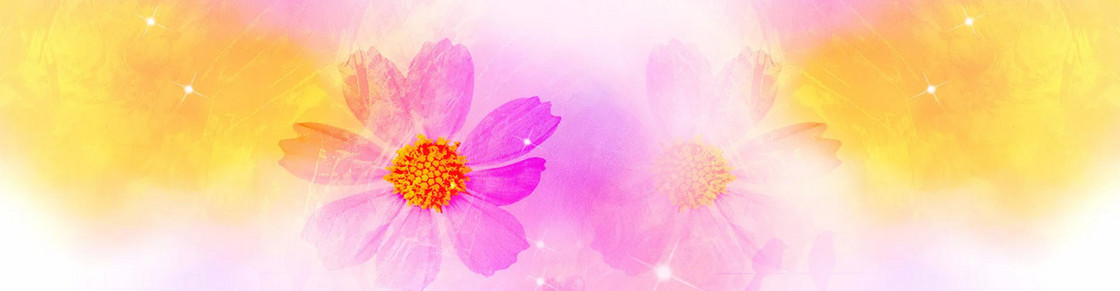 淘宝背景banner