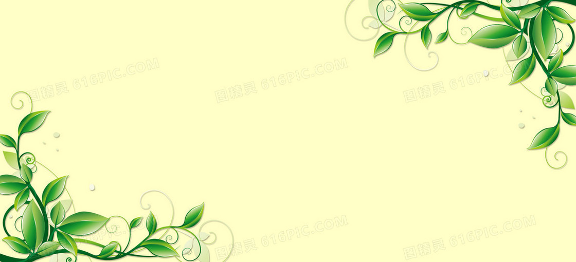 新品上市banner