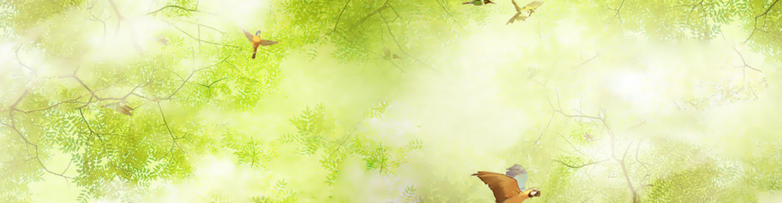 清新banner