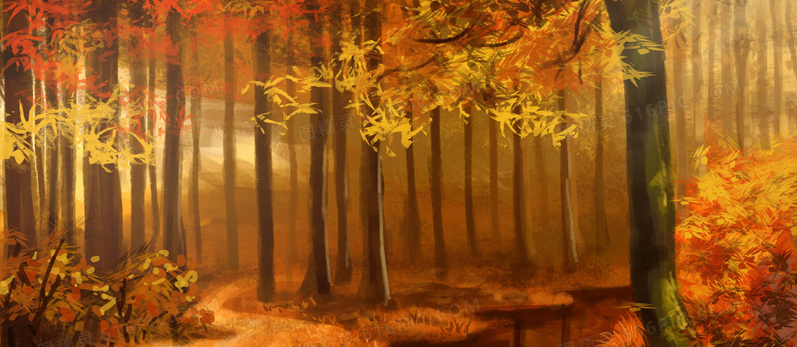 秋天树林唯美背景banner